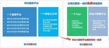 耕者為農，云為鋤——神州信息農業云的信息技術咨詢服務